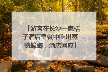 游客在长沙一家桔子酒店早餐中吃出蒸熟蟑螂，酒店回应