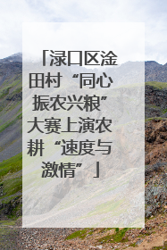 渌口区淦田村“同心振农兴粮”大赛上演农耕“速度与激情”