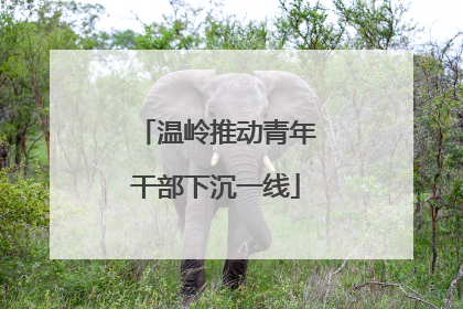 温岭推动青年干部下沉一线