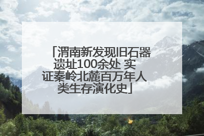 渭南新发现旧石器遗址100余处 实证秦岭北麓百万年人类生存演化史