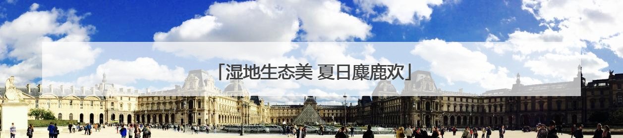 湿地生态美 夏日麋鹿欢