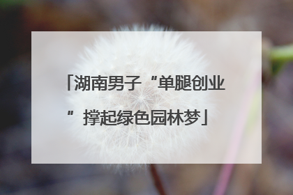 湖南男子“单腿创业”撑起绿色园林梦