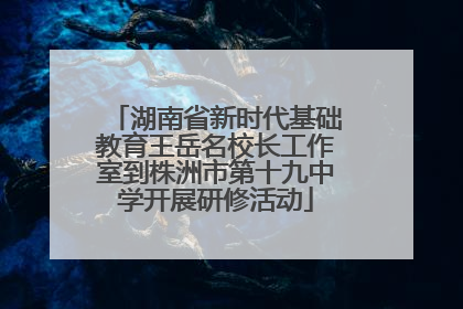 湖南省新时代基础教育王岳名校长工作室到株洲市第十九中学开展研修活动