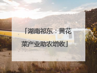 湖南祁东：黄花菜产业助农增收