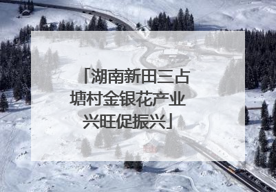 湖南新田三占塘村金银花产业兴旺促振兴