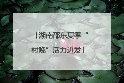 湖南邵东夏季“村晚”活力迸发