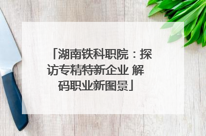 湖南铁科职院：探访专精特新企业 解码职业新图景