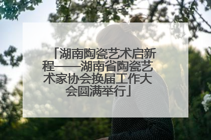 湖南陶瓷艺术启新程——湖南省陶瓷艺术家协会换届工作大会圆满举行