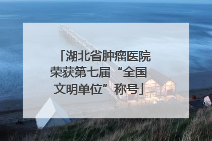 湖北省肿瘤医院荣获第七届“全国文明单位”称号