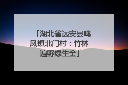 湖北省远安县鸣凤镇北门村：竹林遍野绿生金