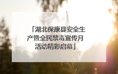 湖北保康县安全生产暨全民禁毒宣传月活动精彩启幕