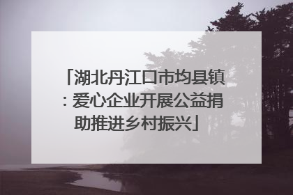 湖北丹江口市均县镇：爱心企业开展公益捐助推进乡村振兴