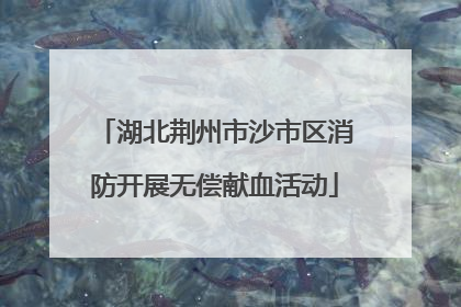 湖北荆州市沙市区消防开展无偿献血活动