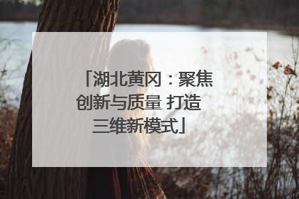 湖北黄冈：聚焦创新与质量 打造三维新模式