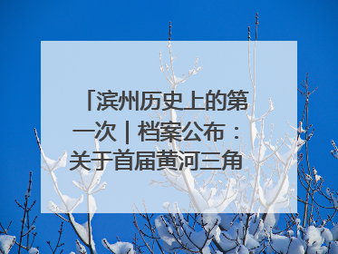 滨州历史上的第一次｜档案公布：关于首届黄河三角洲城市经济博览会暨发展论坛情况的总结报告