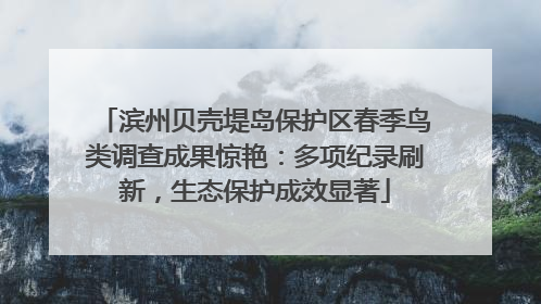 滨州贝壳堤岛保护区春季鸟类调查成果惊艳：多项纪录刷新，生态保护成效显著