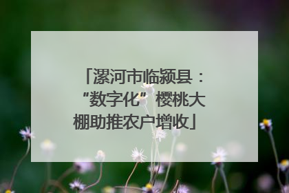 漯河市临颍县：“数字化”樱桃大棚助推农户增收