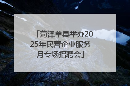 菏泽单县举办2025年民营企业服务月专场招聘会