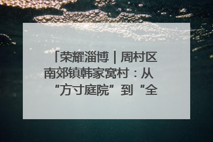 荣耀淄博｜周村区南郊镇韩家窝村：从“方寸庭院”到“全域文明”，乡村振兴的“美学革命”