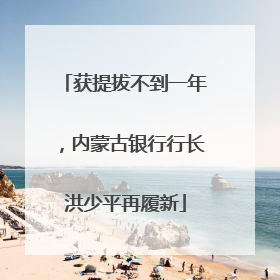 获提拔不到一年，内蒙古银行行长洪少平再履新