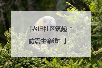 老旧社区筑起“防震生命线”