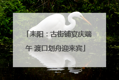 耒阳：古街铺宴庆端午 渡口划舟迎来宾