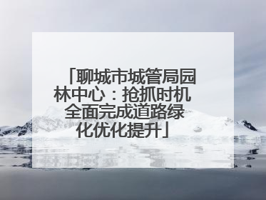 聊城市城管局园林中心：抢抓时机 全面完成道路绿化优化提升