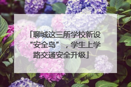 聊城这三所学校新设“安全岛”，学生上学路交通安全升级