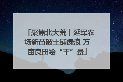 聚焦北大荒丨延军农场新苗破土铺绿浪 万亩良田绘“丰”景