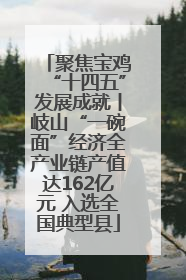 聚焦宝鸡“十四五”发展成就丨岐山“一碗面”经济全产业链产值达162亿元 入选全国典型县