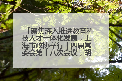 聚焦深入推进教育科技人才一体化发展，上海市政协举行十四届常委会第十八次会议，胡文容出席并讲话