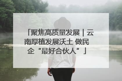 聚焦高质量发展｜云南厚植发展沃土 做民企“最好合伙人”
