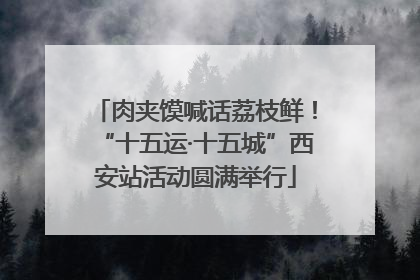 肉夹馍喊话荔枝鲜！“十五运·十五城”西安站活动圆满举行
