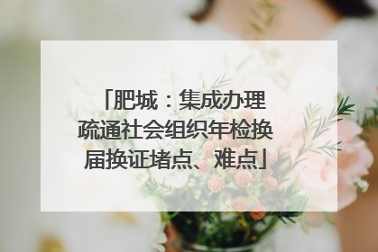 肥城：集成办理 疏通社会组织年检换届换证堵点、难点