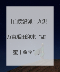 自贡沿滩：九洪万亩瓜田迎来“甜蜜丰收季”