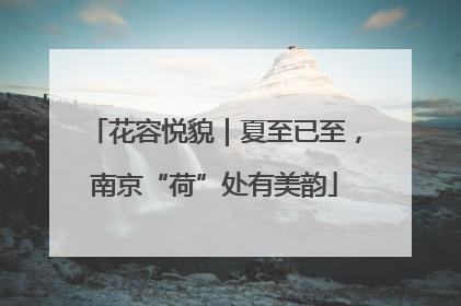 花容悦貌｜夏至已至，南京“荷”处有美韵