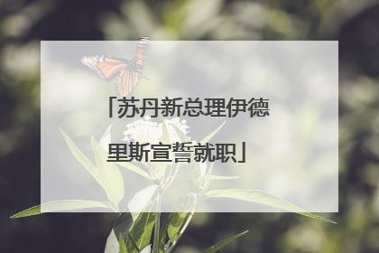 苏丹新总理伊德里斯宣誓就职