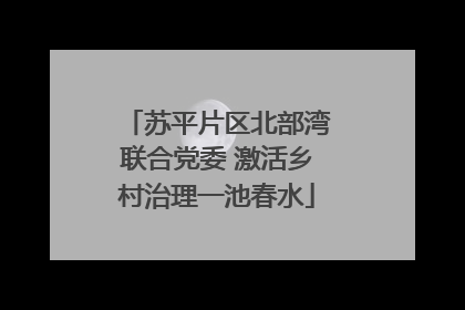 苏平片区北部湾联合党委 激活乡村治理一池春水