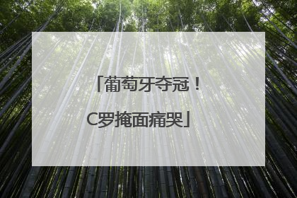 葡萄牙夺冠！C罗掩面痛哭