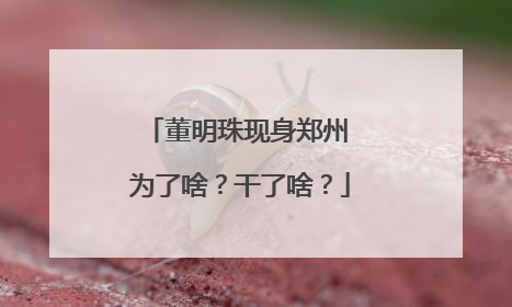 董明珠现身郑州 为了啥？干了啥？