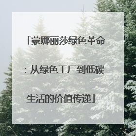 蒙娜丽莎绿色革命：从绿色工厂到低碳生活的价值传递