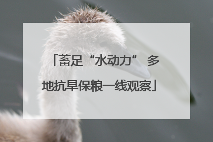 蓄足“水动力” 多地抗旱保粮一线观察