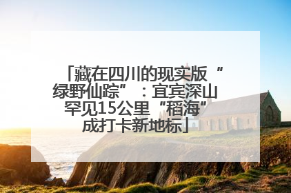 藏在四川的现实版“绿野仙踪”：宜宾深山罕见15公里“稻海”成打卡新地标