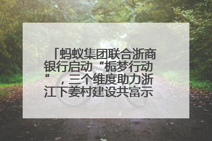 蚂蚁集团联合浙商银行启动“栀梦行动”，三个维度助力浙江下姜村建设共富示范区示范点