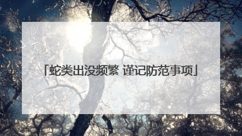 蛇类出没频繁 谨记防范事项