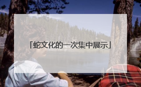 蛇文化的一次集中展示
