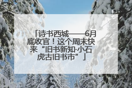 诗书西城——6月底收官！这个周末快来“旧书新知·小石虎古旧书市”
