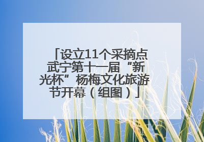设立11个采摘点 武宁第十一届“新光杯”杨梅文化旅游节开幕（组图）