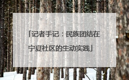 记者手记：民族团结在宁夏社区的生动实践