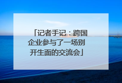 记者手记：跨国企业参与了一场别开生面的交流会